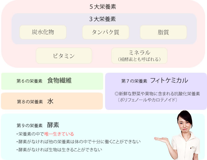 酵素（Enzyme）とは第９の栄養素の解説図