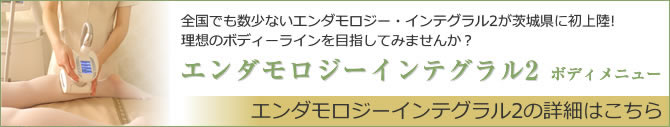 エンダモロジーインテグラル2のボディーメニューの詳細