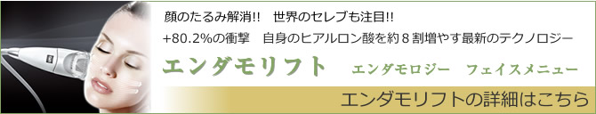 エンダモロジーのフェイスメニューの詳細はこちら